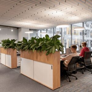 Workstation In Office